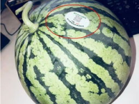 宣威网红吃瓜,吃瓜大作战幕后揭秘！
